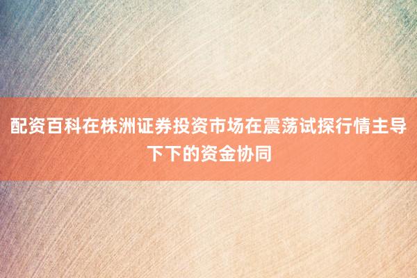 配资百科在株洲证券投资市场在震荡试探行情主导下下的资金协同