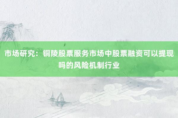 市场研究：铜陵股票服务市场中股票融资可以提现吗的风险机制行业