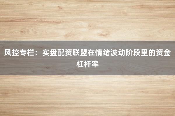 风控专栏：实盘配资联盟在情绪波动阶段里的资金杠杆率