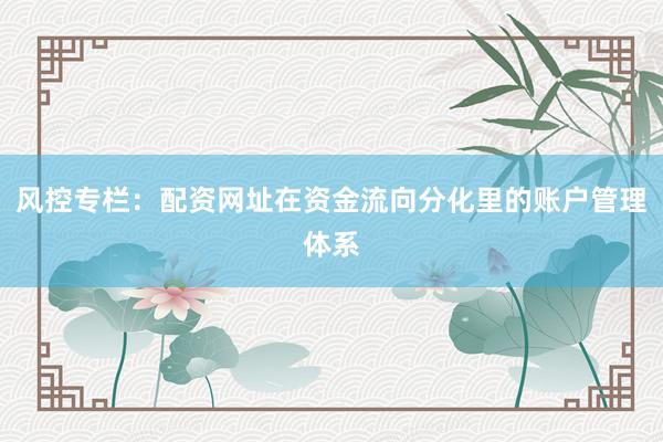 风控专栏：配资网址在资金流向分化里的账户管理体系