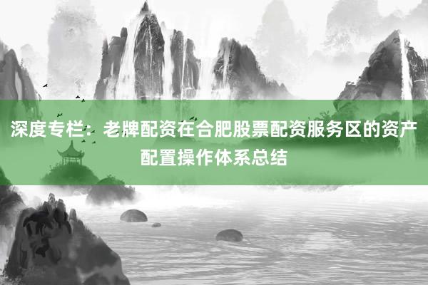 深度专栏:老牌配资在合肥股票配资服务区的资产配置操作体系总结
