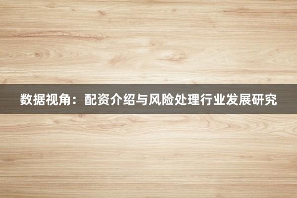 数据视角：配资介绍与风险处理行业发展研究