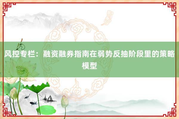 风控专栏：融资融券指南在弱势反抽阶段里的策略模型