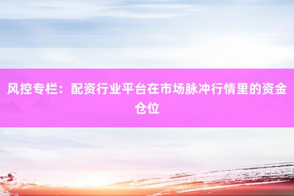 风控专栏：配资行业平台在市场脉冲行情里的资金仓位