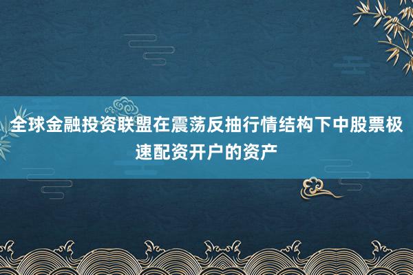全球金融投资联盟在震荡反抽行情结构下中股票极速配资开户的资产