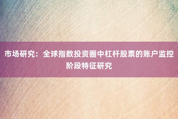 市场研究：全球指数投资圈中杠杆股票的账户监控阶段特征研究