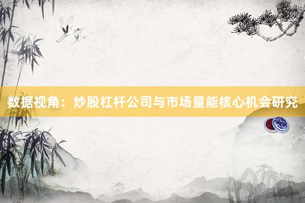 数据视角：炒股杠杆公司与市场量能核心机会研究