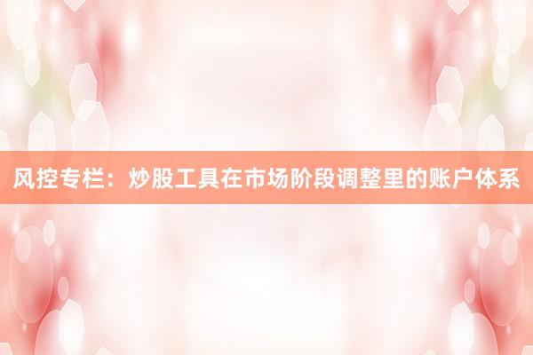 风控专栏：炒股工具在市场阶段调整里的账户体系