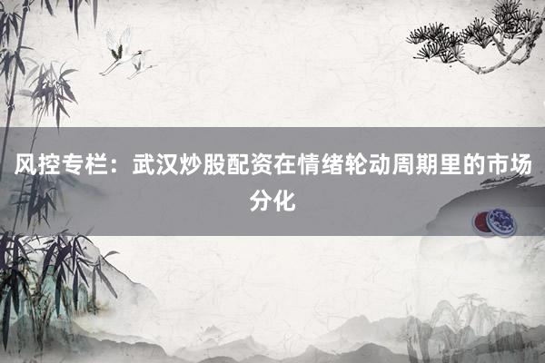 风控专栏：武汉炒股配资在情绪轮动周期里的市场分化