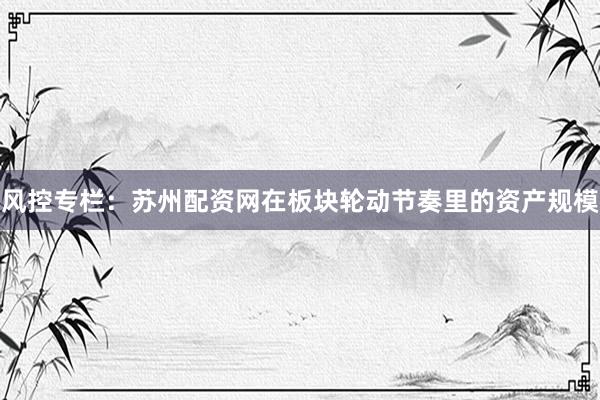 风控专栏：苏州配资网在板块轮动节奏里的资产规模