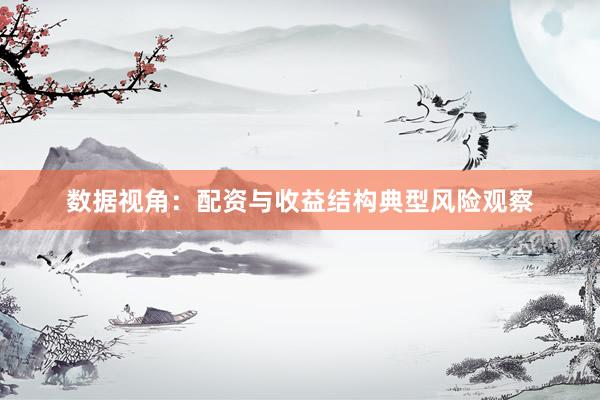 数据视角：配资与收益结构典型风险观察