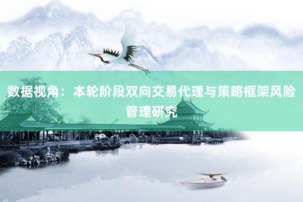 数据视角：本轮阶段双向交易代理与策略框架风险管理研究
