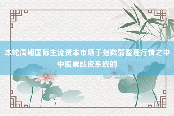 本轮周期国际主流资本市场于指数弱整理行情之中中股票融资系统的