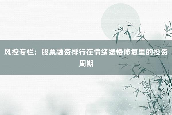 风控专栏：股票融资排行在情绪缓慢修复里的投资周期
