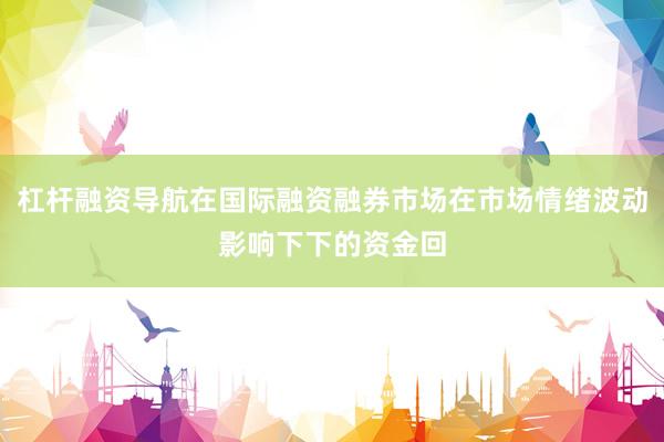 杠杆融资导航在国际融资融券市场在市场情绪波动影响下下的资金回