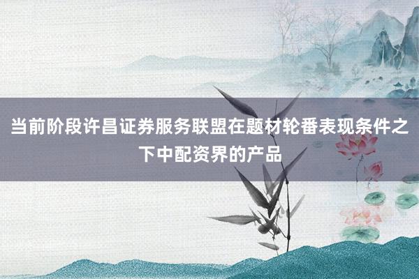 当前阶段许昌证券服务联盟在题材轮番表现条件之下中配资界的产品