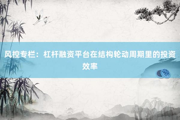 风控专栏：杠杆融资平台在结构轮动周期里的投资效率