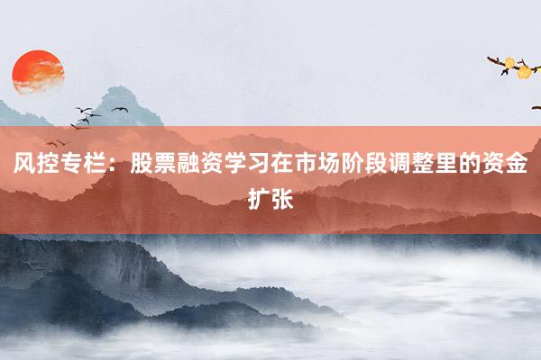 风控专栏：股票融资学习在市场阶段调整里的资金扩张