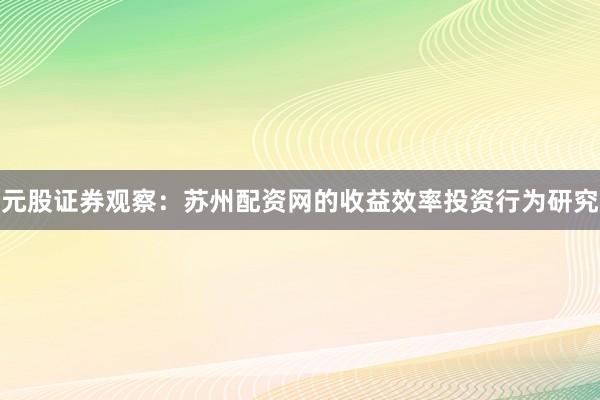 元股证券观察：苏州配资网的收益效率投资行为研究
