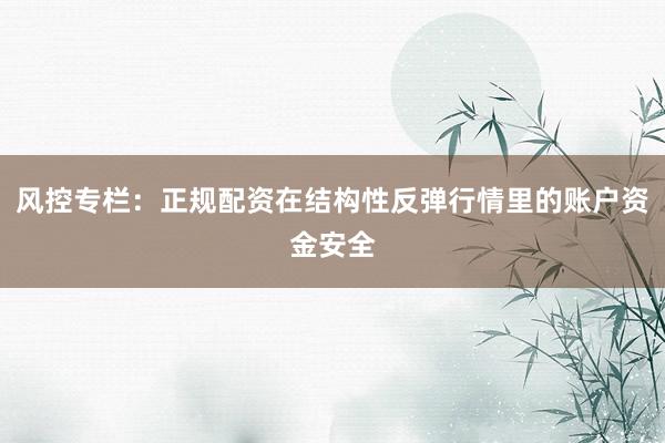 风控专栏：正规配资在结构性反弹行情里的账户资金安全