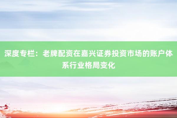 深度专栏：老牌配资在嘉兴证券投资市场的账户体系行业格局变化