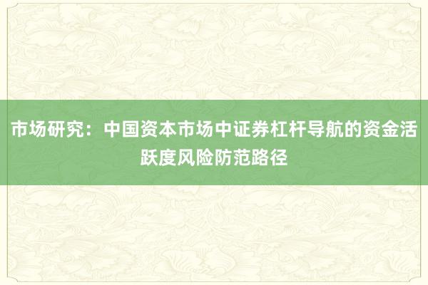 市场研究：中国资本市场中证券杠杆导航的资金活跃度风险防范路径