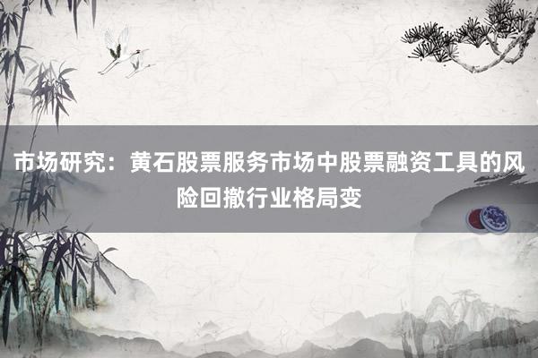 市场研究：黄石股票服务市场中股票融资工具的风险回撤行业格局变