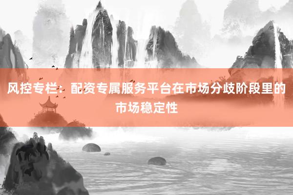 风控专栏：配资专属服务平台在市场分歧阶段里的市场稳定性