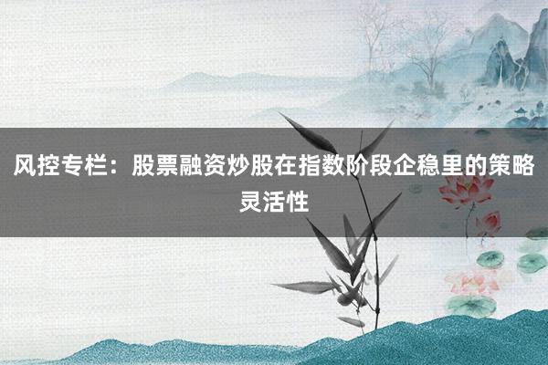 风控专栏：股票融资炒股在指数阶段企稳里的策略灵活性