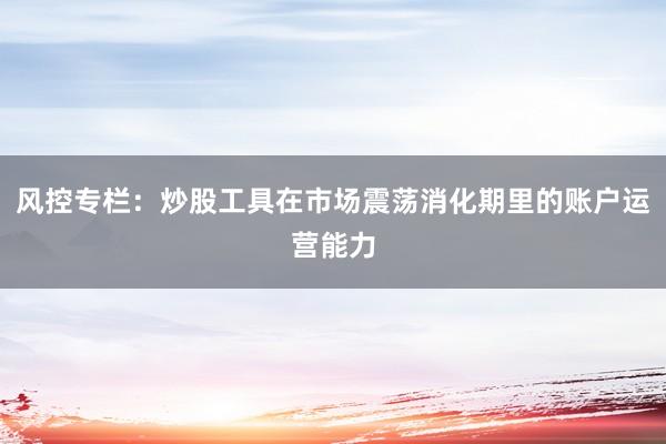风控专栏：炒股工具在市场震荡消化期里的账户运营能力