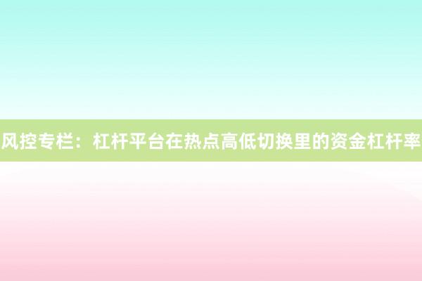 风控专栏：杠杆平台在热点高低切换里的资金杠杆率