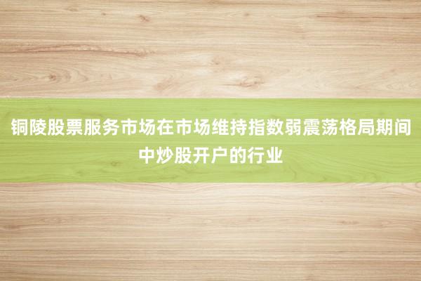 铜陵股票服务市场在市场维持指数弱震荡格局期间中炒股开户的行业