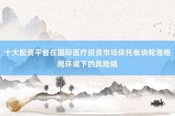十大配资平台在国际医疗投资市场依托板块轮涨格局环境下的风险隔