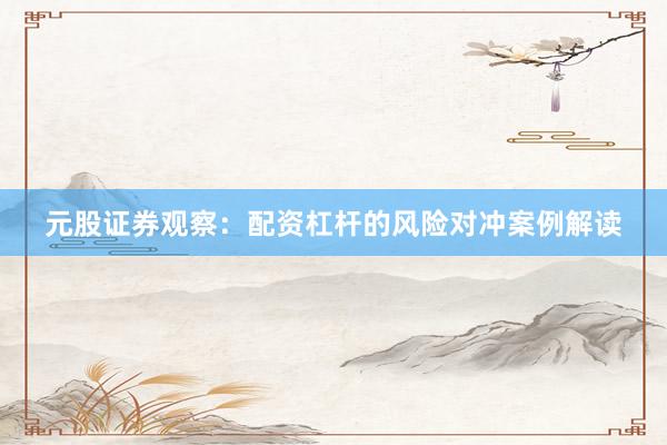 元股证券观察：配资杠杆的风险对冲案例解读