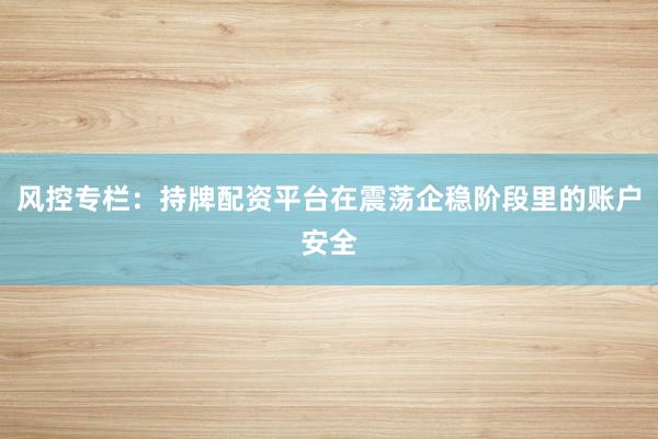 风控专栏：持牌配资平台在震荡企稳阶段里的账户安全