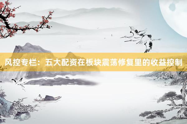 风控专栏：五大配资在板块震荡修复里的收益控制