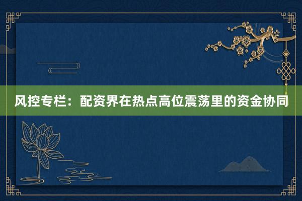 风控专栏：配资界在热点高位震荡里的资金协同