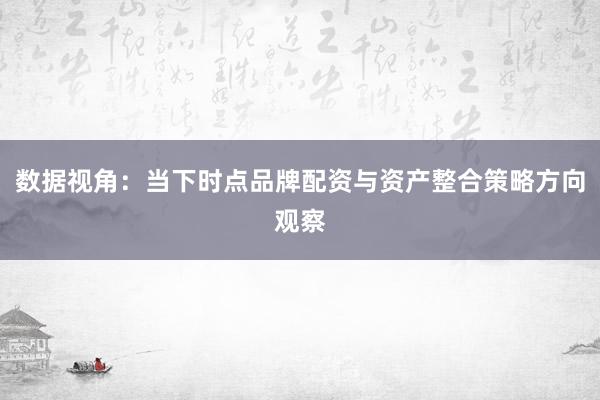 数据视角：当下时点品牌配资与资产整合策略方向观察