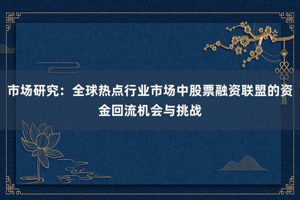 市场研究：全球热点行业市场中股票融资联盟的资金回流机会与挑战