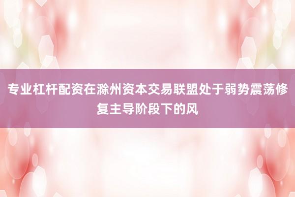 专业杠杆配资在滁州资本交易联盟处于弱势震荡修复主导阶段下的风