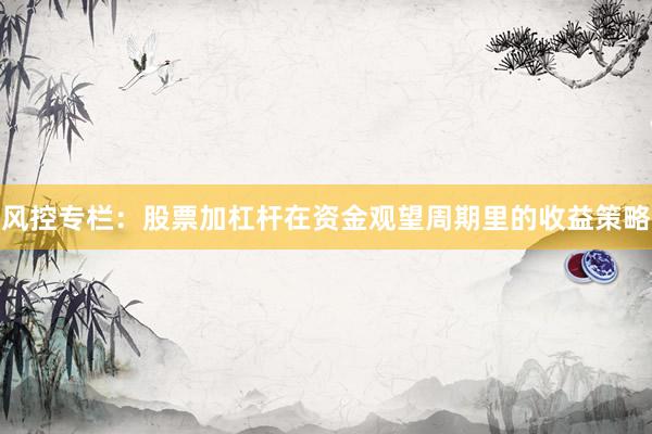 风控专栏：股票加杠杆在资金观望周期里的收益策略