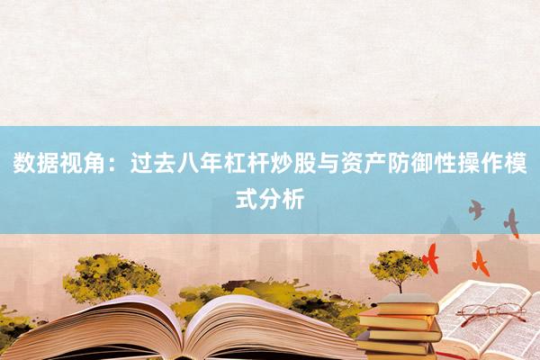 数据视角：过去八年杠杆炒股与资产防御性操作模式分析