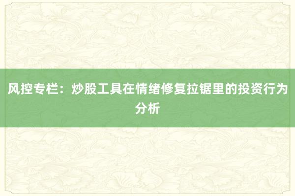 风控专栏：炒股工具在情绪修复拉锯里的投资行为分析