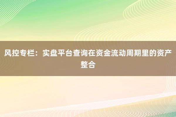 风控专栏：实盘平台查询在资金流动周期里的资产整合