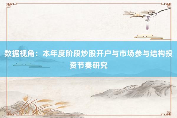 数据视角：本年度阶段炒股开户与市场参与结构投资节奏研究