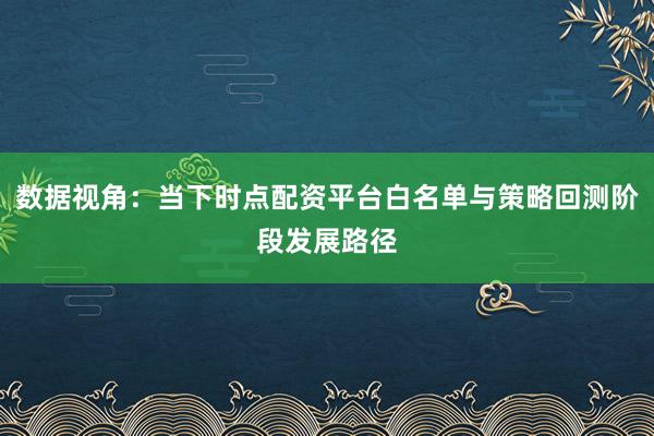 数据视角：当下时点配资平台白名单与策略回测阶段发展路径