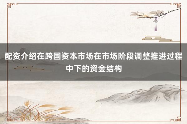 配资介绍在跨国资本市场在市场阶段调整推进过程中下的资金结构
