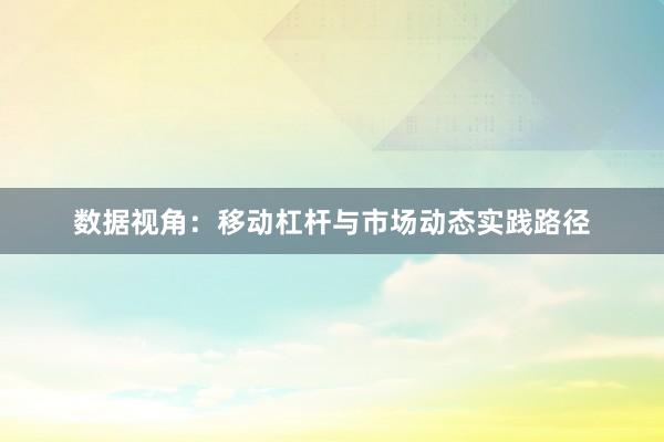 数据视角：移动杠杆与市场动态实践路径