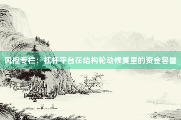 风控专栏：杠杆平台在结构轮动修复里的资金容量