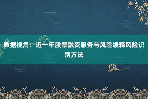 数据视角：近一年股票融资服务与风险缓释风险识别方法